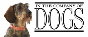 In The Company Of Dogs Códigos promocionais 