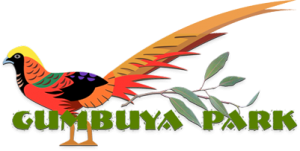 Gumbuya Park Códigos promocionais 